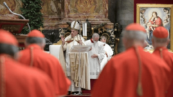 Nuevos cardenales en la Iglesia católica: vientos de cambio
