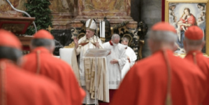 Nuevos cardenales en la Iglesia católica: vientos de cambio