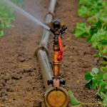 Agricultores de Mena Abajo, solicitan cese de los apagones